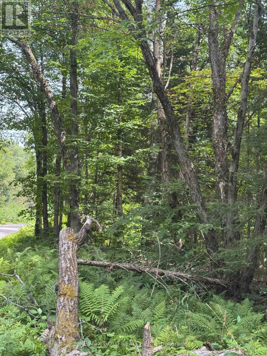 1791 Alsace Road, Nipissing, Ontario  P0H 1Z0 - Photo 26 - X13119988