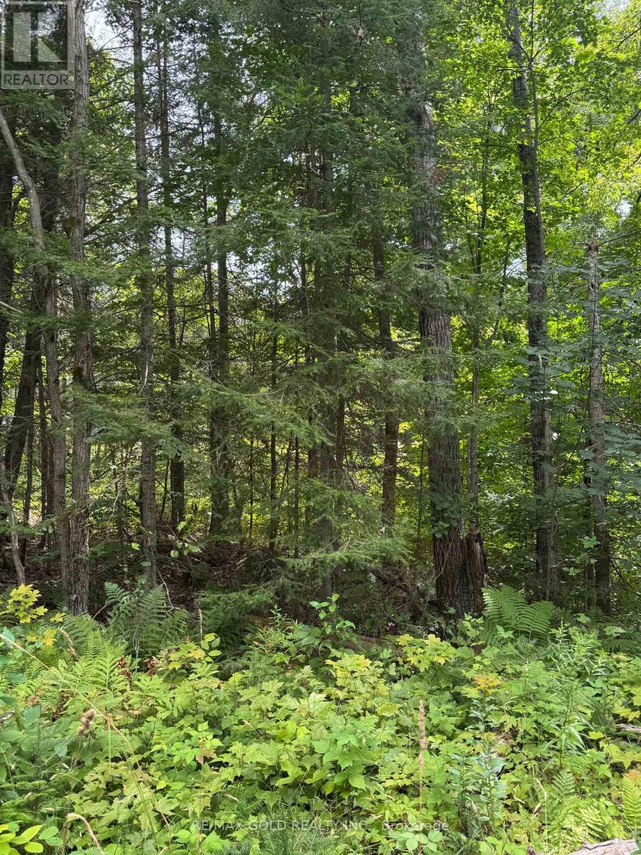 1791 Alsace Road, Nipissing, Ontario  P0H 1Z0 - Photo 29 - X13119988