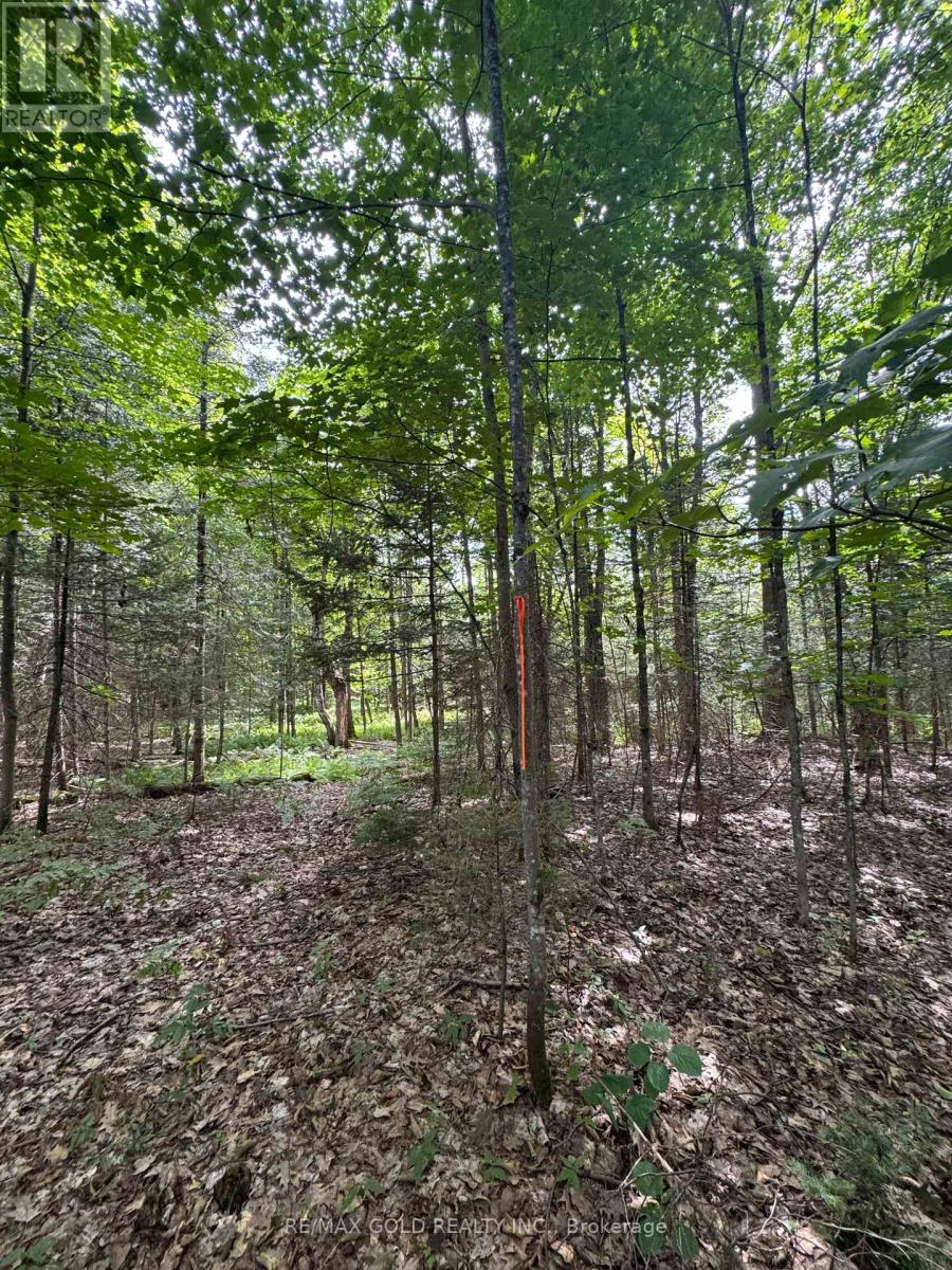 1791 Alsace Road, Nipissing, Ontario  P0H 1Z0 - Photo 3 - X13119988