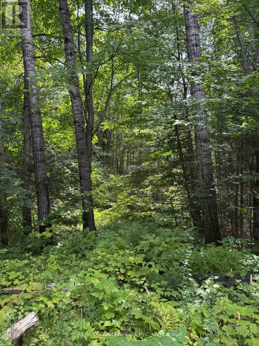 1791 Alsace Road, Nipissing, Ontario  P0H 1Z0 - Photo 30 - X13119988