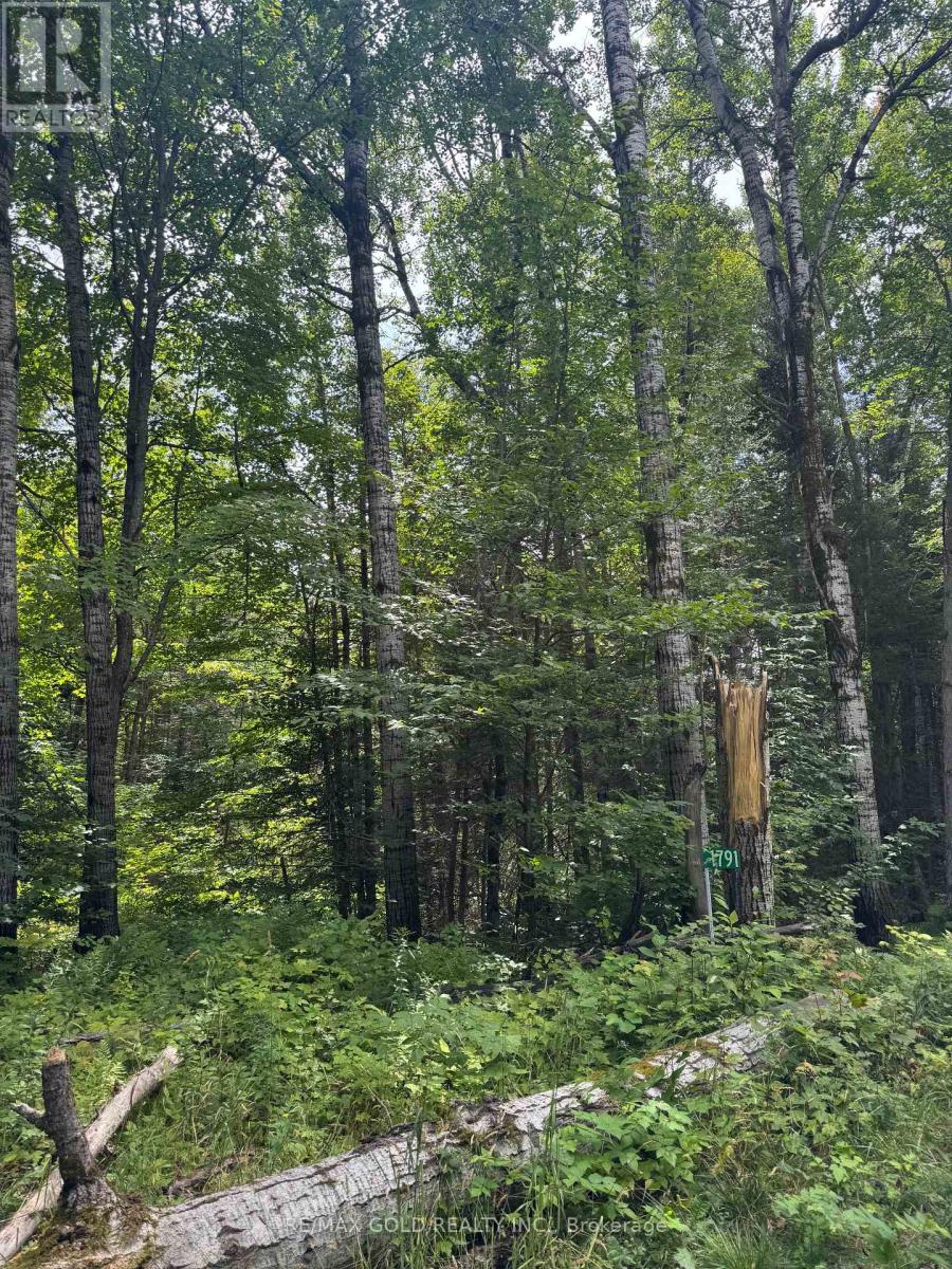 1791 Alsace Road, Nipissing, Ontario  P0H 1Z0 - Photo 31 - X13119988