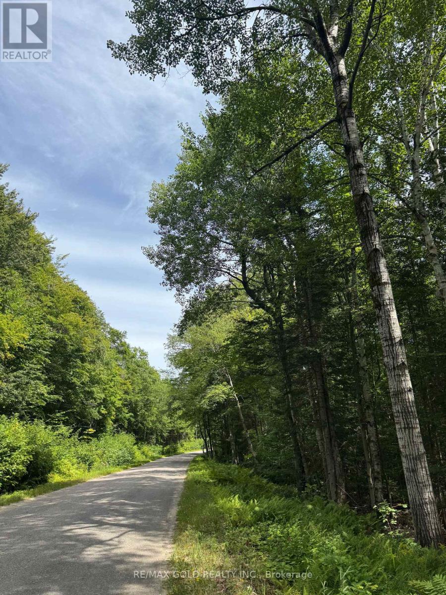 1791 Alsace Road, Nipissing, Ontario  P0H 1Z0 - Photo 32 - X13119988