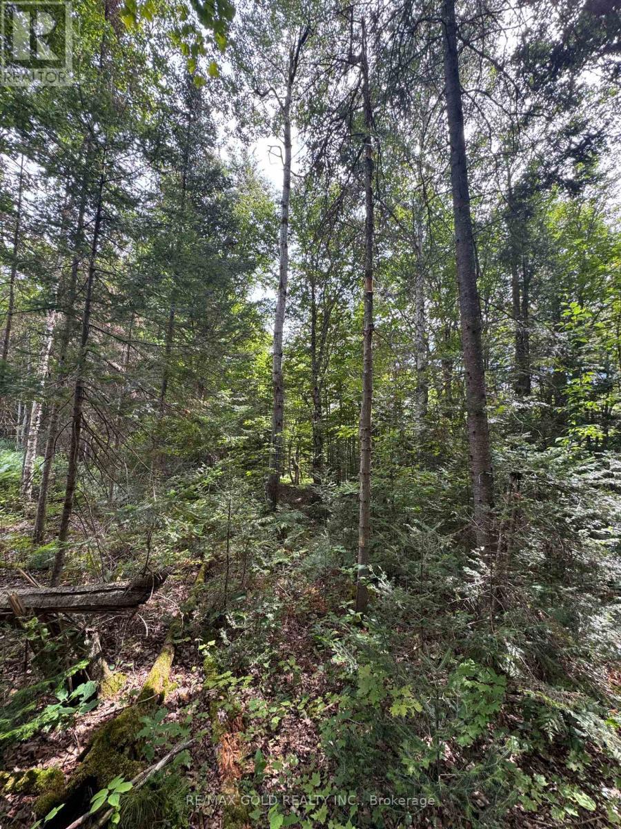 1791 Alsace Road, Nipissing, Ontario  P0H 1Z0 - Photo 4 - X13119988