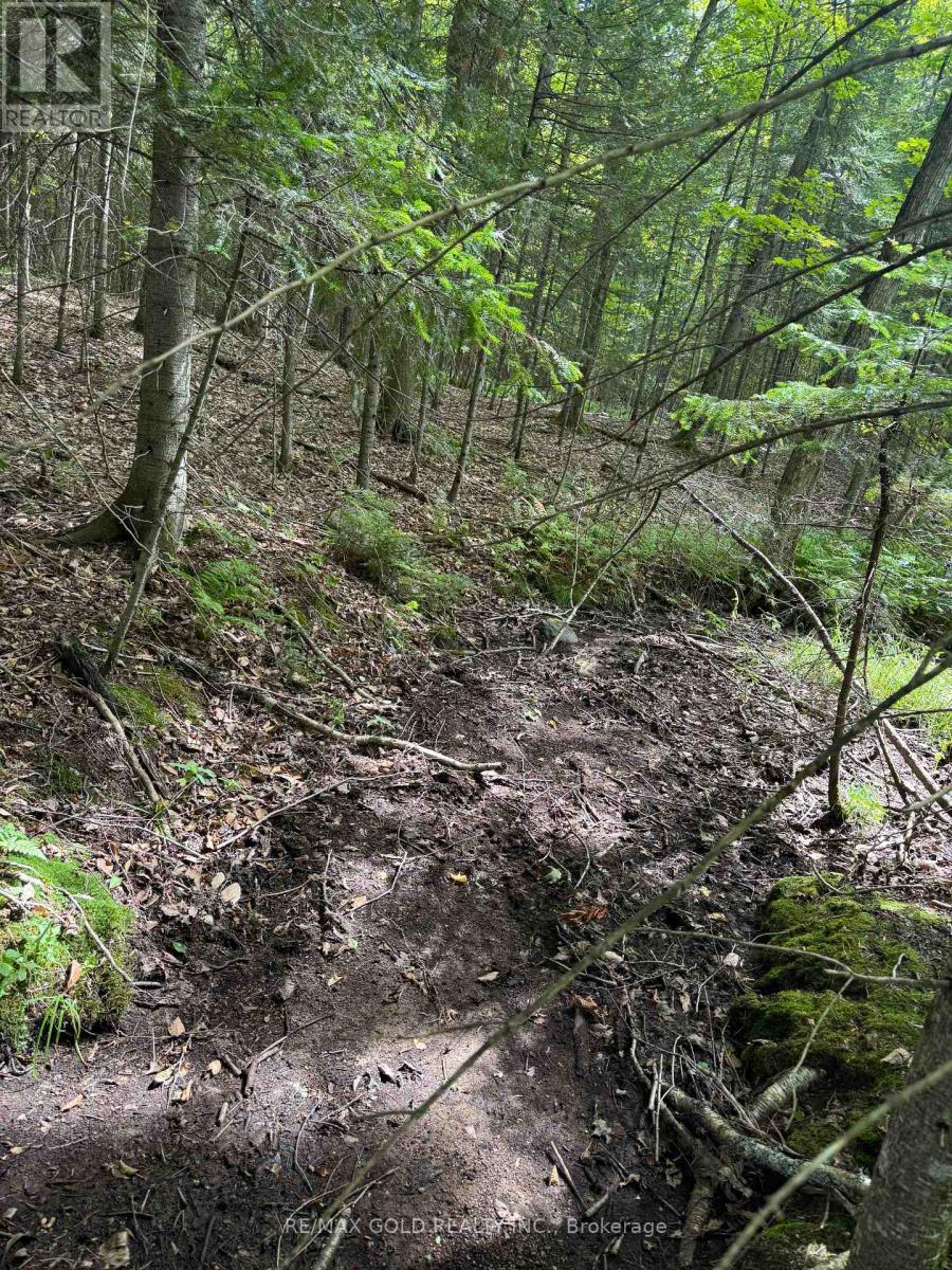 1791 Alsace Road, Nipissing, Ontario  P0H 1Z0 - Photo 6 - X13119988