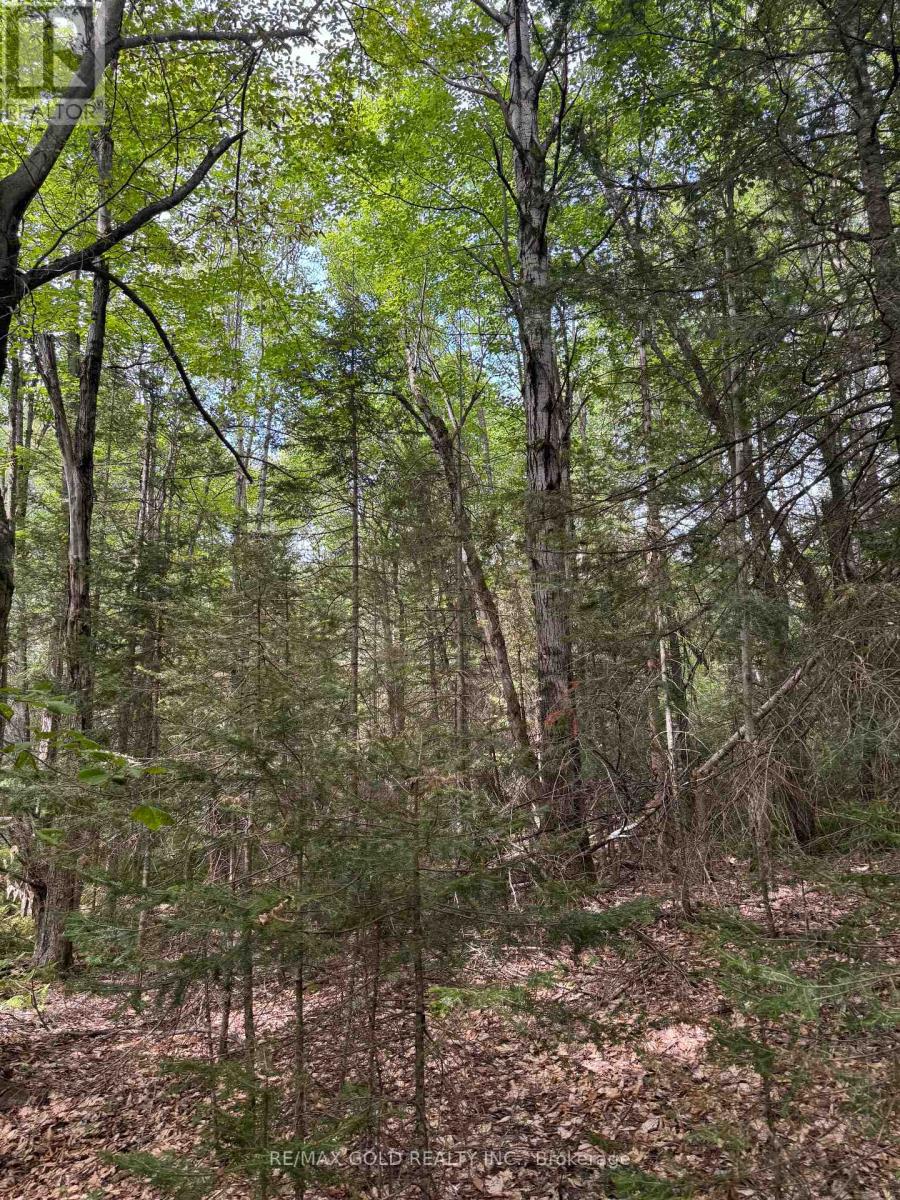 1791 Alsace Road, Nipissing, Ontario  P0H 1Z0 - Photo 7 - X13119988