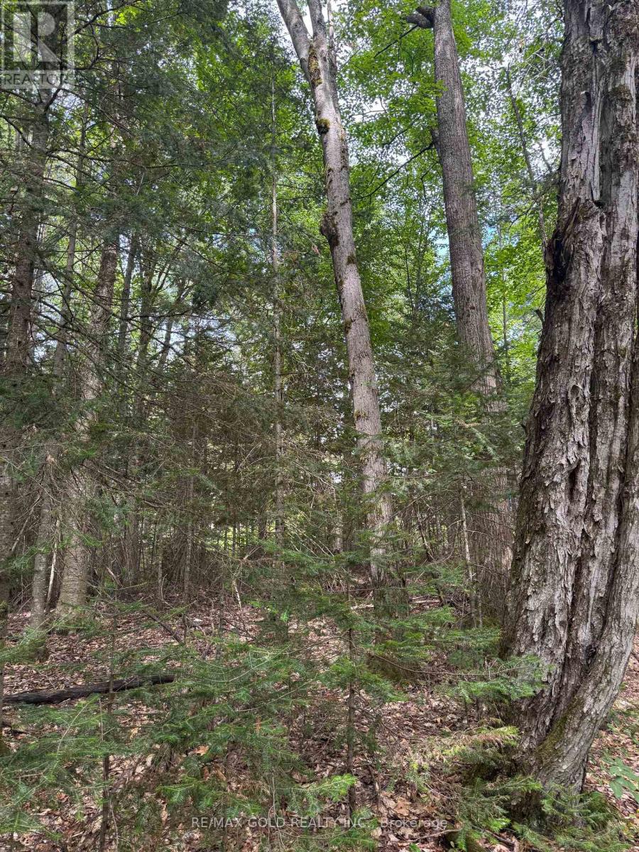 1791 Alsace Road, Nipissing, Ontario  P0H 1Z0 - Photo 8 - X13119988