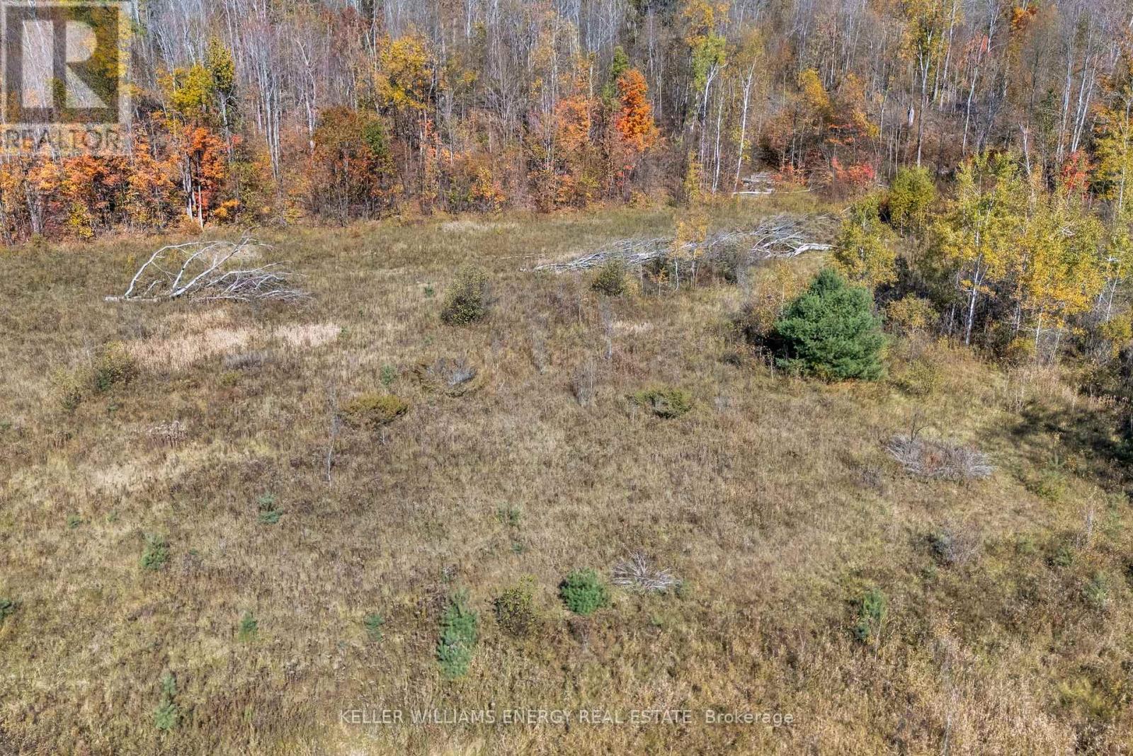 14794 Hwy 62 Highway, Madoc, Ontario  K0K 2K0 - Photo 13 - X13120044