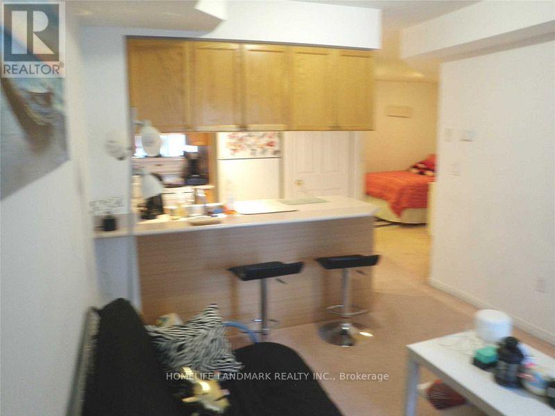 317 - 909 Bay Street, Toronto, Ontario  M5S 3G2 - Photo 10 - C13120050