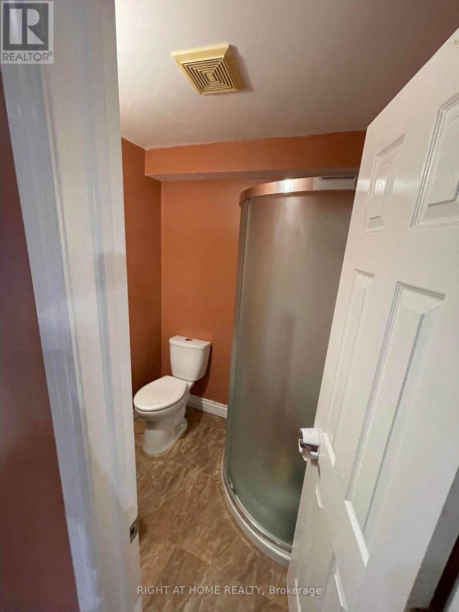 3365 Stoney Crescent, Mississauga, Ontario  L5M 0N6 - Photo 49 - W13120056