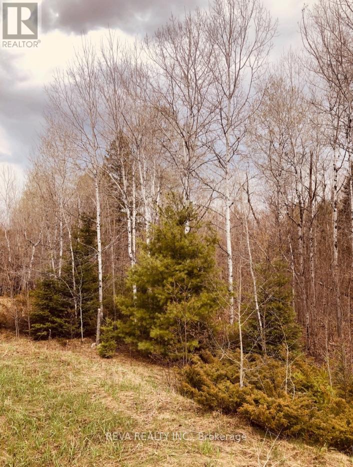 348 Matawatchan Road, Addington Highlands, Ontario  K0H 1K0 - Photo 3 - X13120090