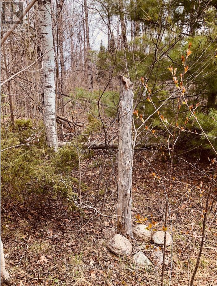 348 Matawatchan Road, Addington Highlands, Ontario  K0H 1K0 - Photo 5 - X13120090