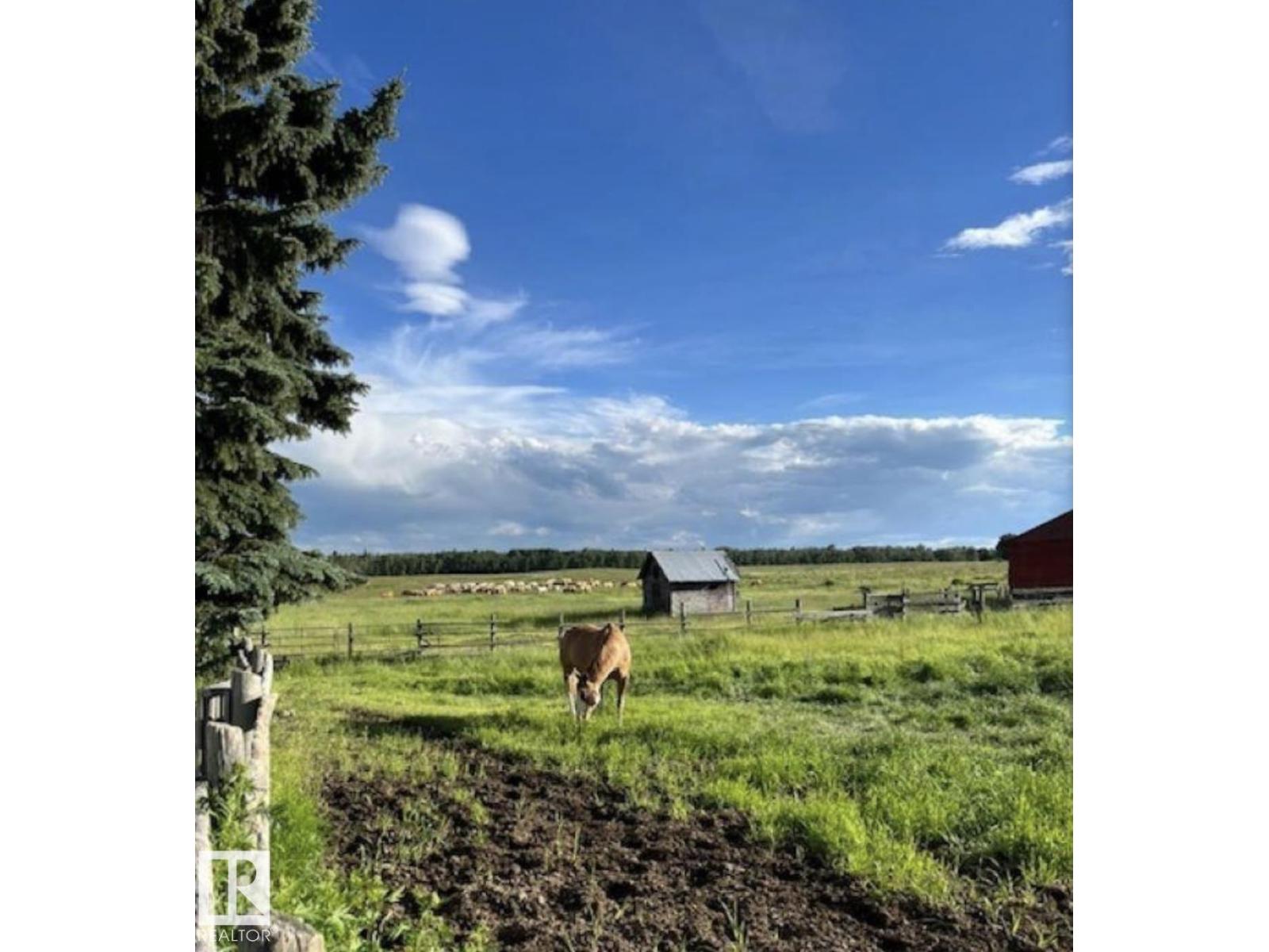 55416 Hwy 765, Rural Lac Ste. Anne County, Alberta  T0E 0L0 - Photo 39 - E4487301