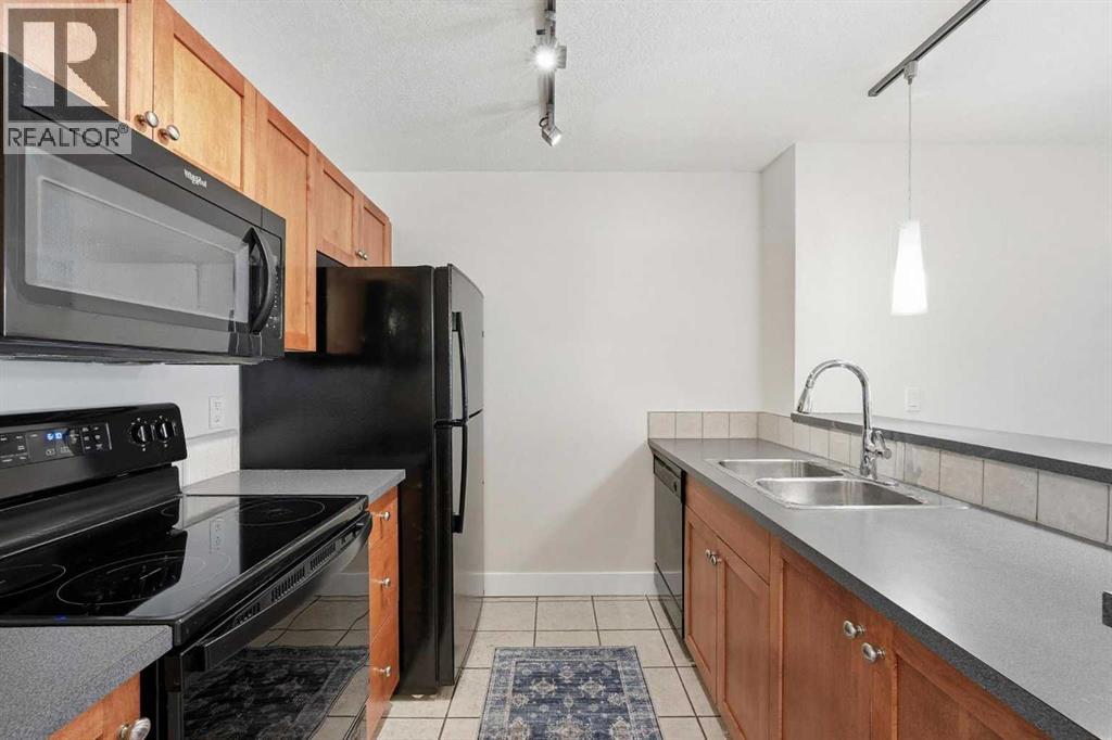 203, 2440 34 Avenue SW, Calgary, Alberta  t2t 2c8 - Photo 6 - A2306767