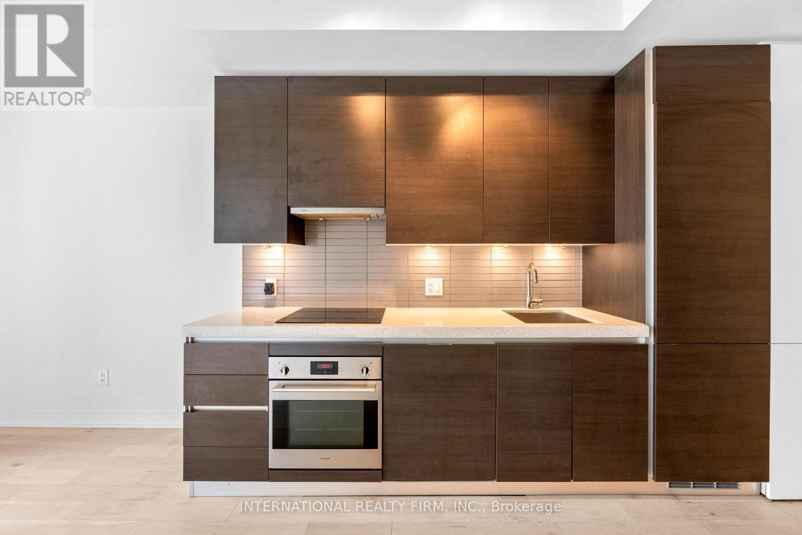313 - 629 King Street W, Toronto, Ontario  M5V 0G9 - Photo 4 - C13120206