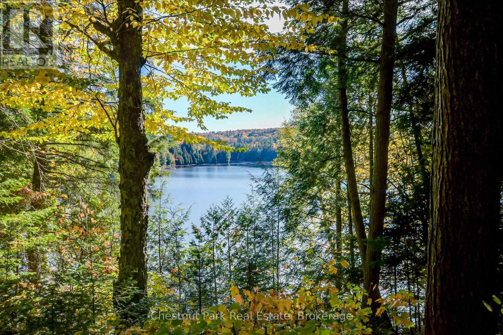 1023 Roly Lane, Lake Of Bays, Ontario  P1H 2J6 - Photo 5 - X13120262