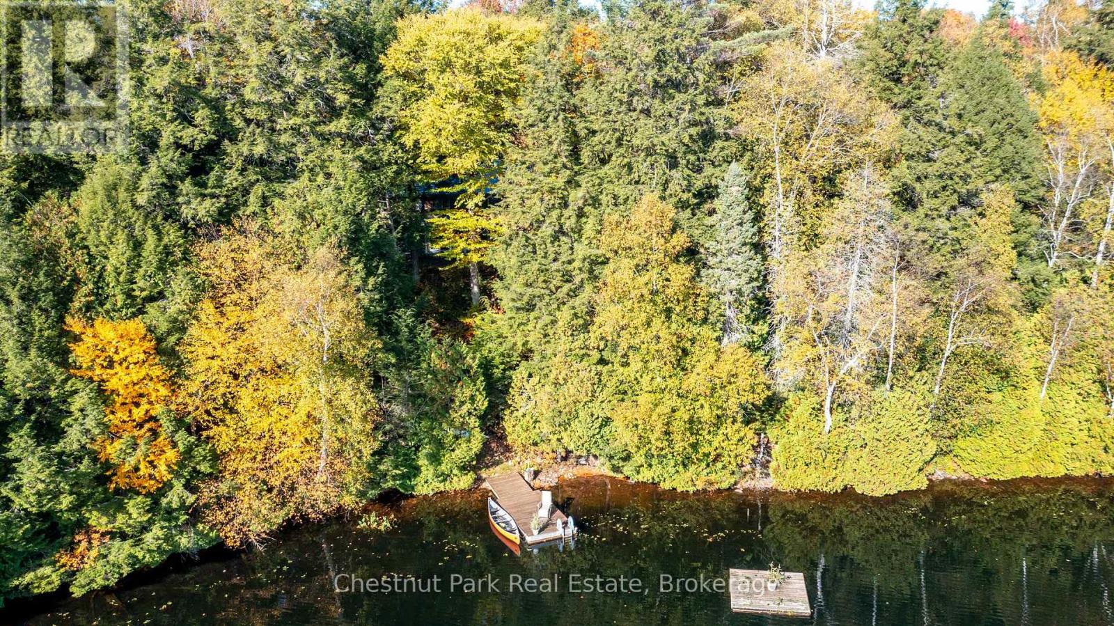 1023 Roly Lane, Lake Of Bays, Ontario  P1H 2J6 - Photo 6 - X13120262