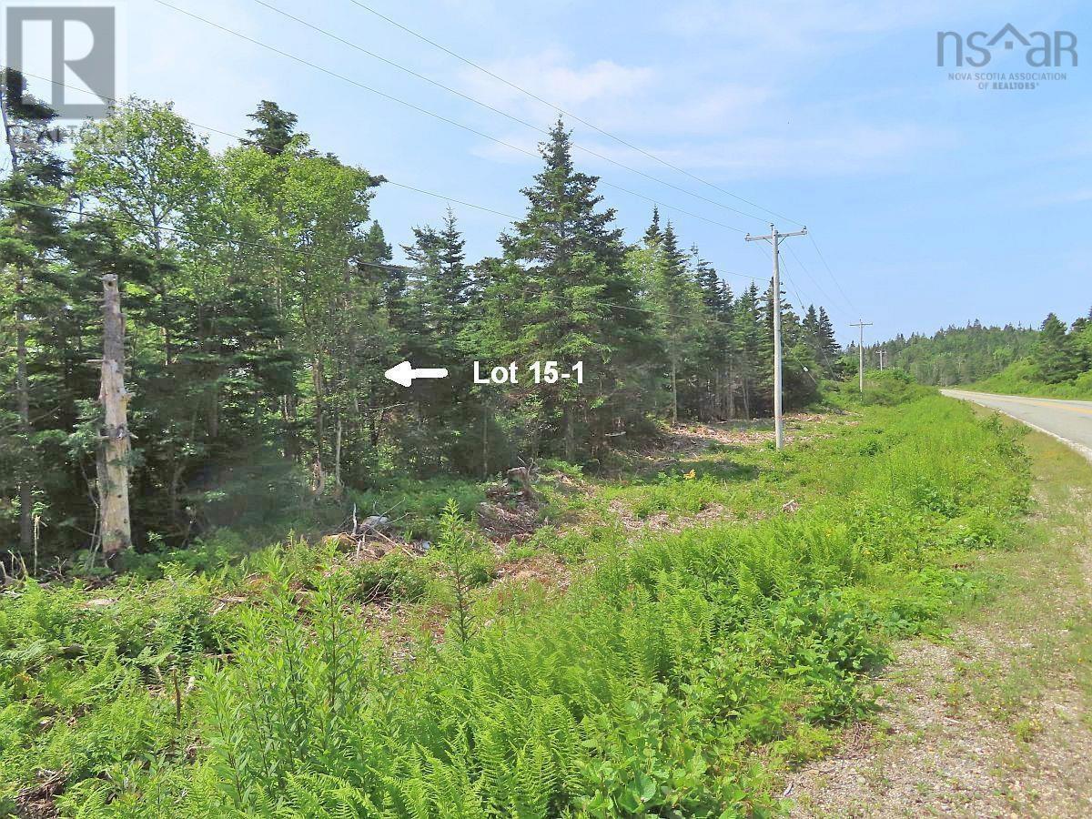 Lots 15&15-1 Hwy 316 (English Hbr), Cole Harbour, Nova Scotia  B0H 1T0 - Photo 18 - 202514326