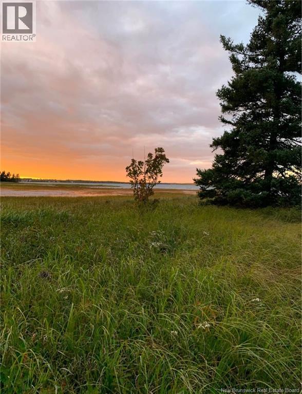 24-4 Indian Island Road, Richibucto, New Brunswick  E4W 1E2 - Photo 6 - NB139226
