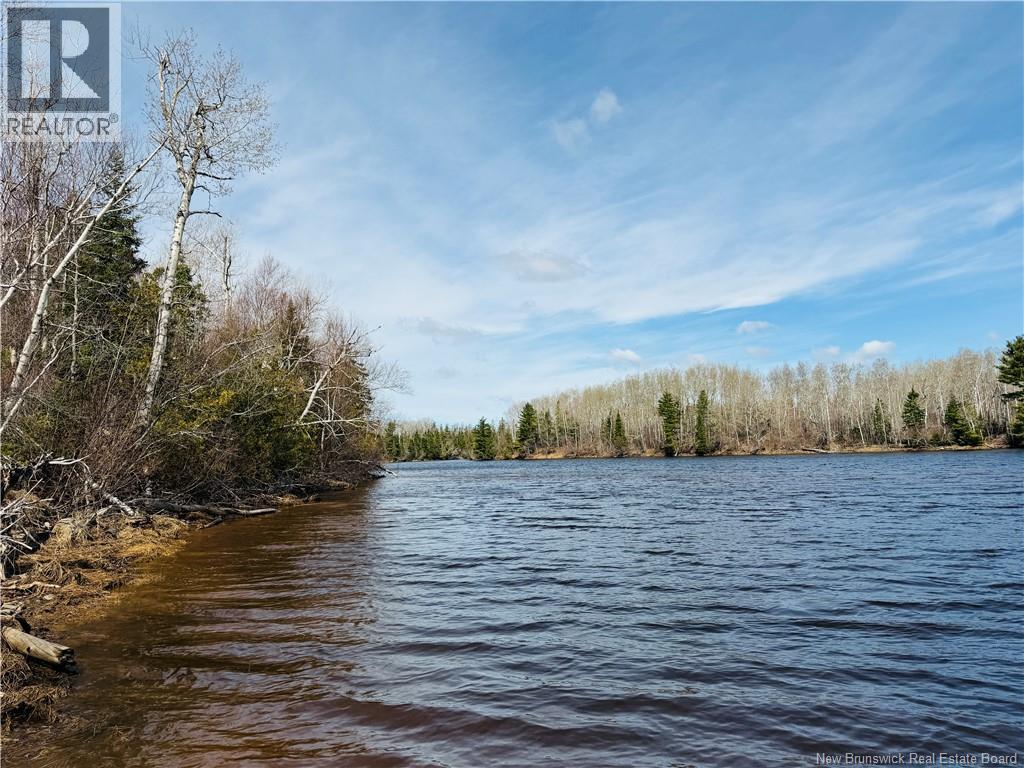 8020 Rte 117 Hwy, Black River Bridge, New Brunswick  E1N 5K5 - Photo 47 - NB135173