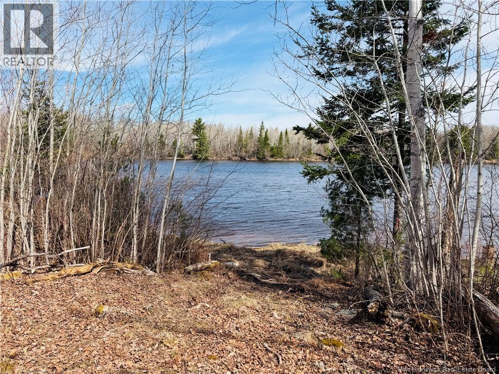 8020 Rte 117 Hwy, Black River Bridge, New Brunswick  E1N 5K5 - Photo 46 - NB135173