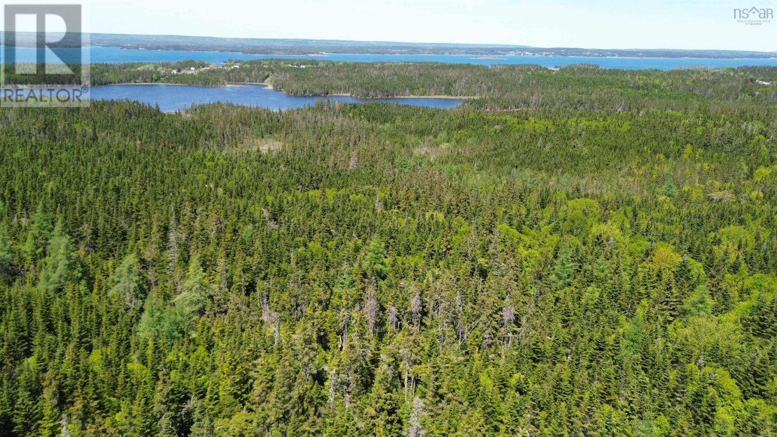 320 Highway, D'escousse, Nova Scotia  B0E 1K0 - Photo 7 - 202529556