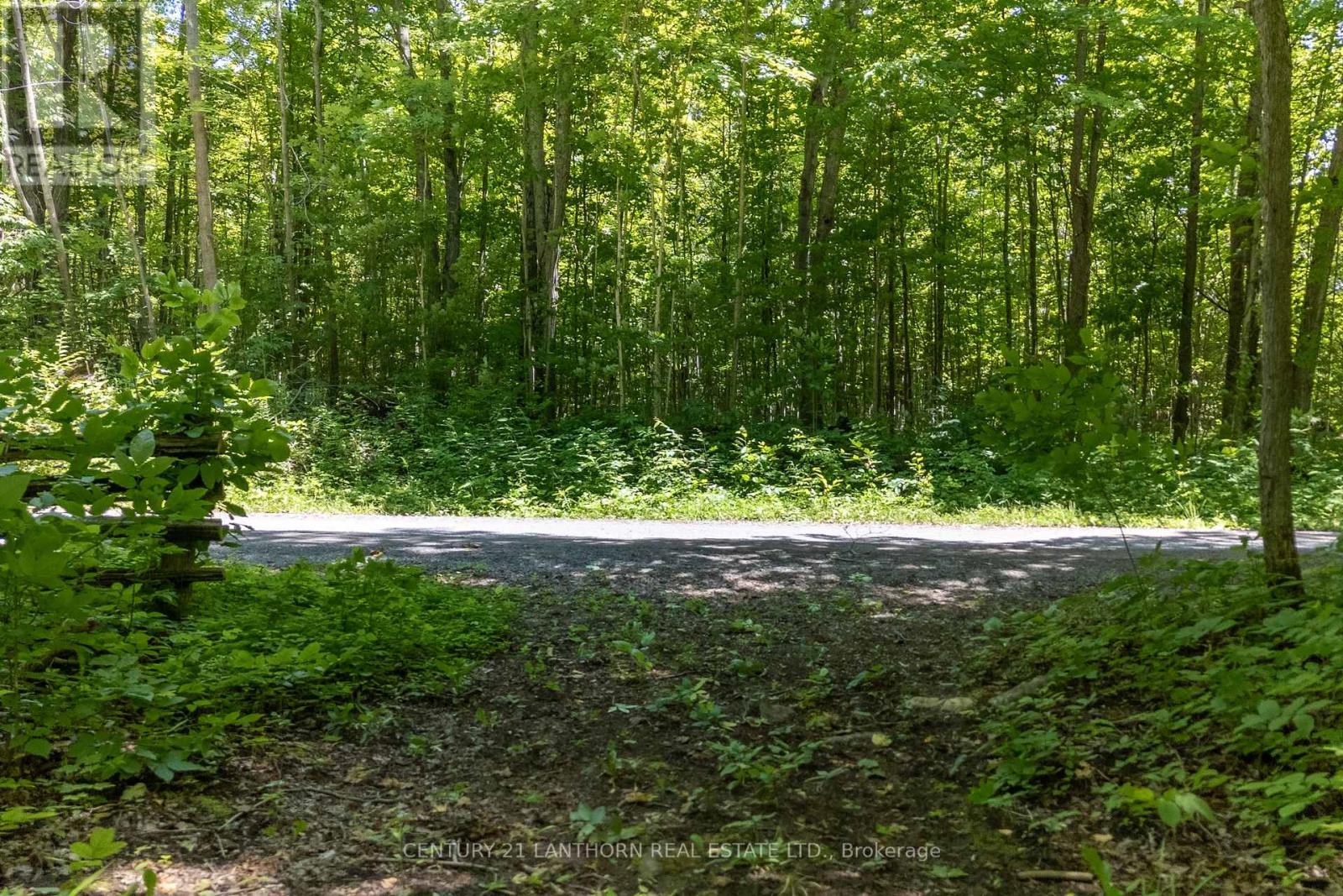 55 Post Road, Centre Hastings, Ontario  K0K 3H0 - Photo 4 - X13120710