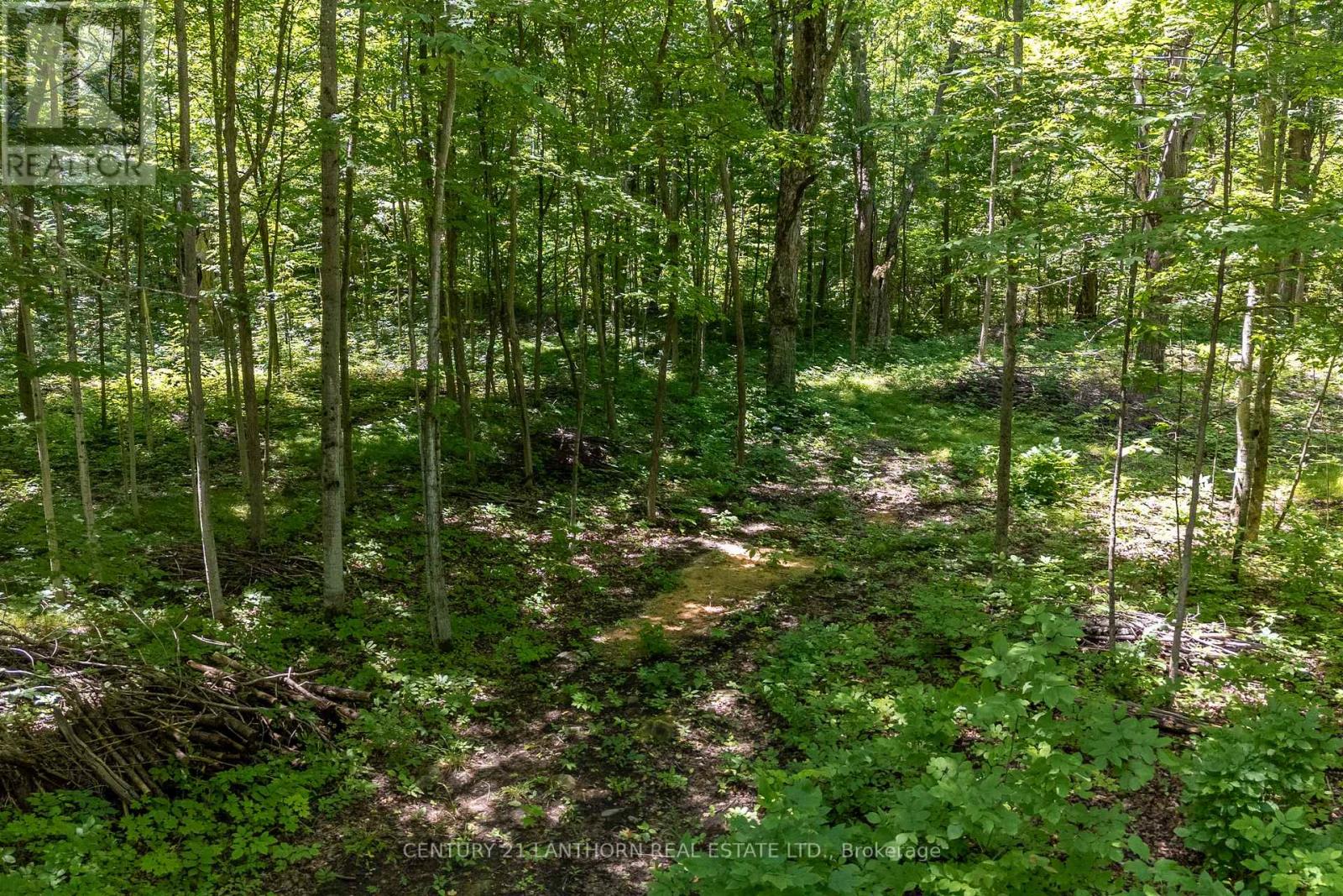 55 Post Road, Centre Hastings, Ontario  K0K 3H0 - Photo 6 - X13120710
