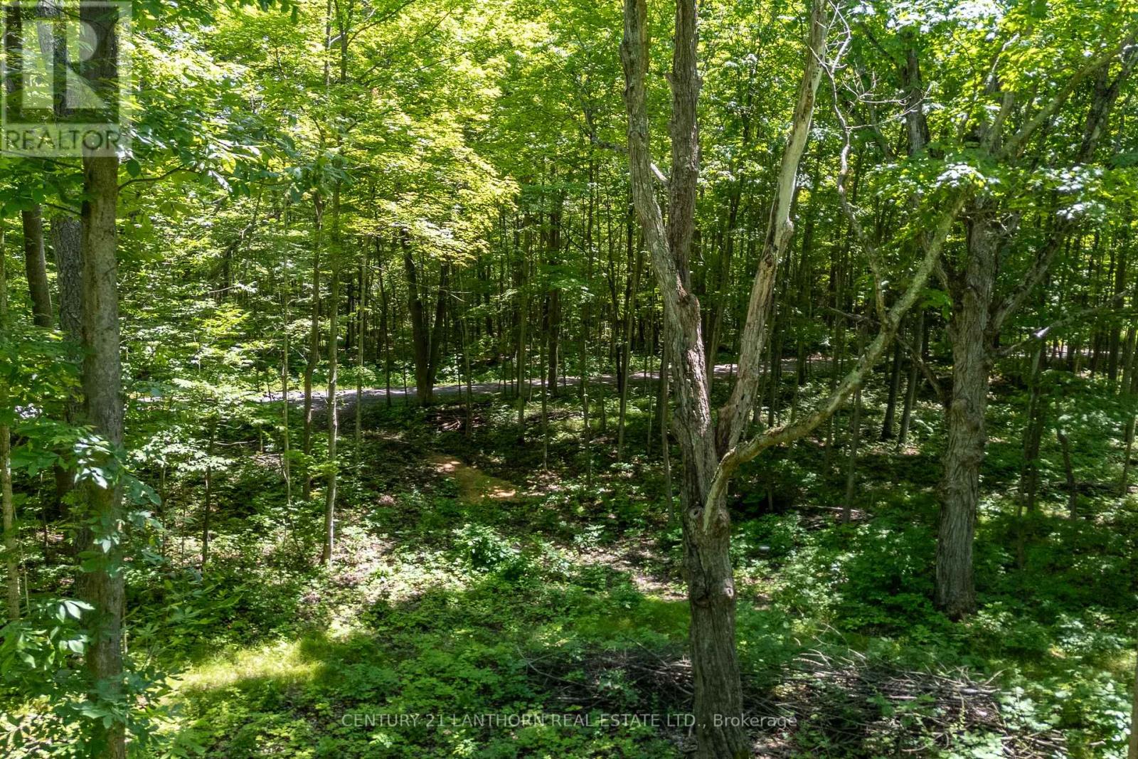 55 Post Road, Centre Hastings, Ontario  K0K 3H0 - Photo 7 - X13120710
