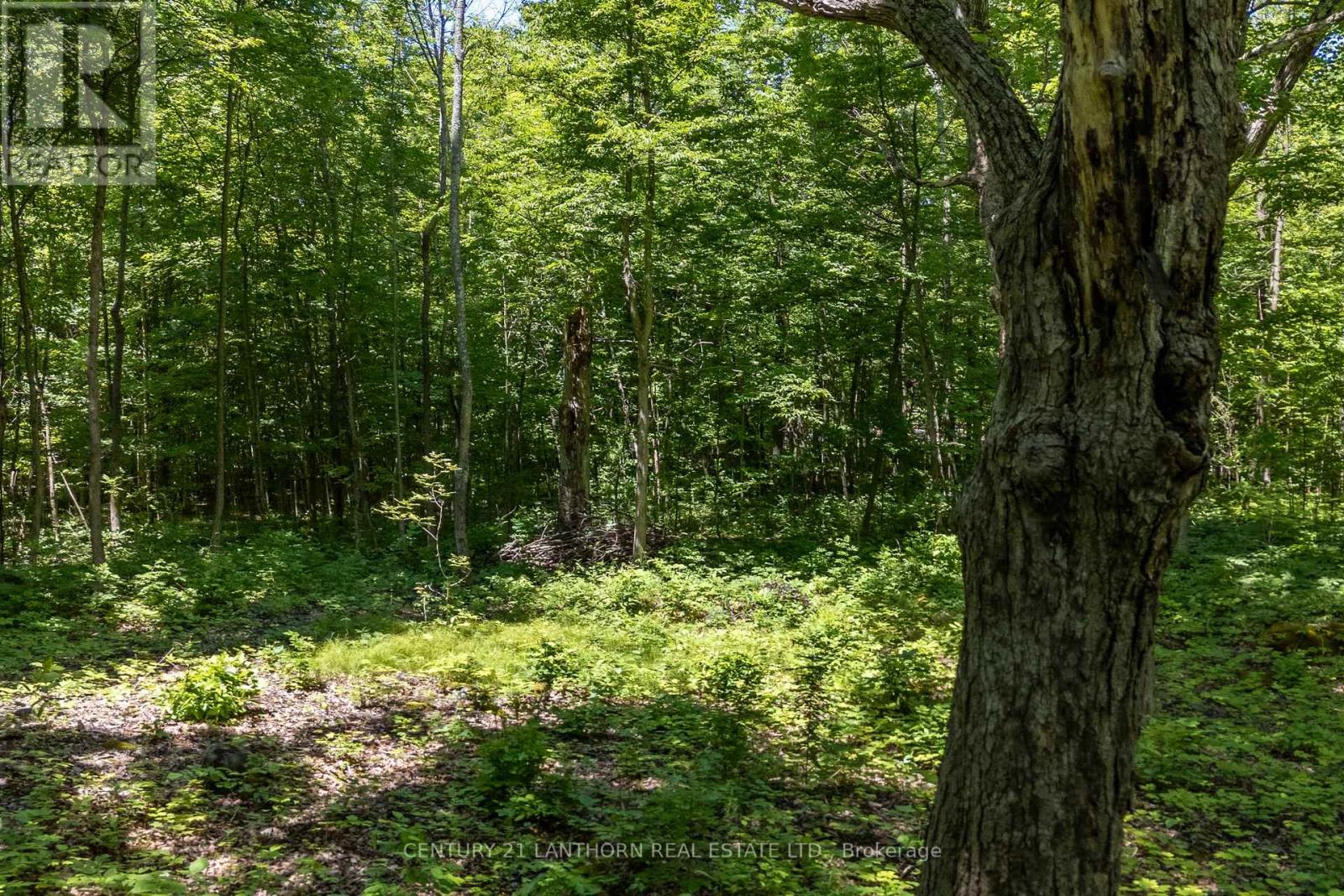 55 Post Road, Centre Hastings, Ontario  K0K 3H0 - Photo 8 - X13120710