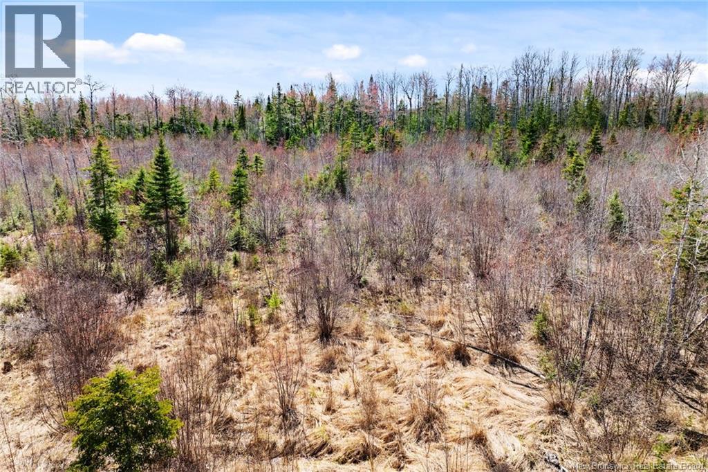 20 Union Cross Road, Youngs Cove, New Brunswick E4C 2J6 - Photo 14 - NB139381