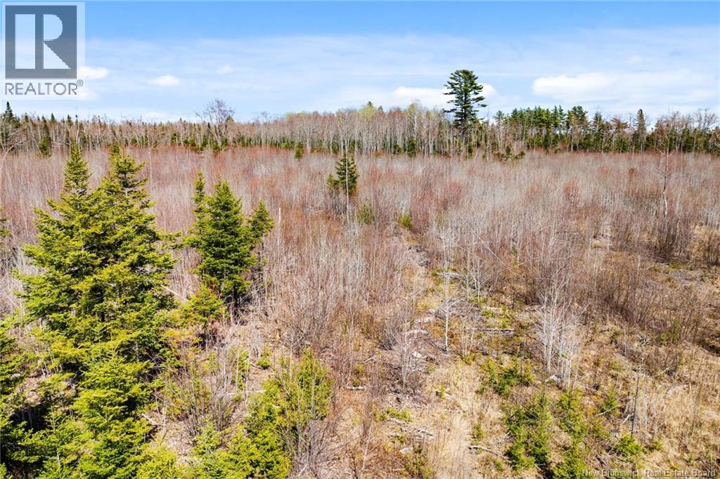 20 Union Cross Road, Youngs Cove, New Brunswick E4C 2J6 - Photo 15 - NB139381