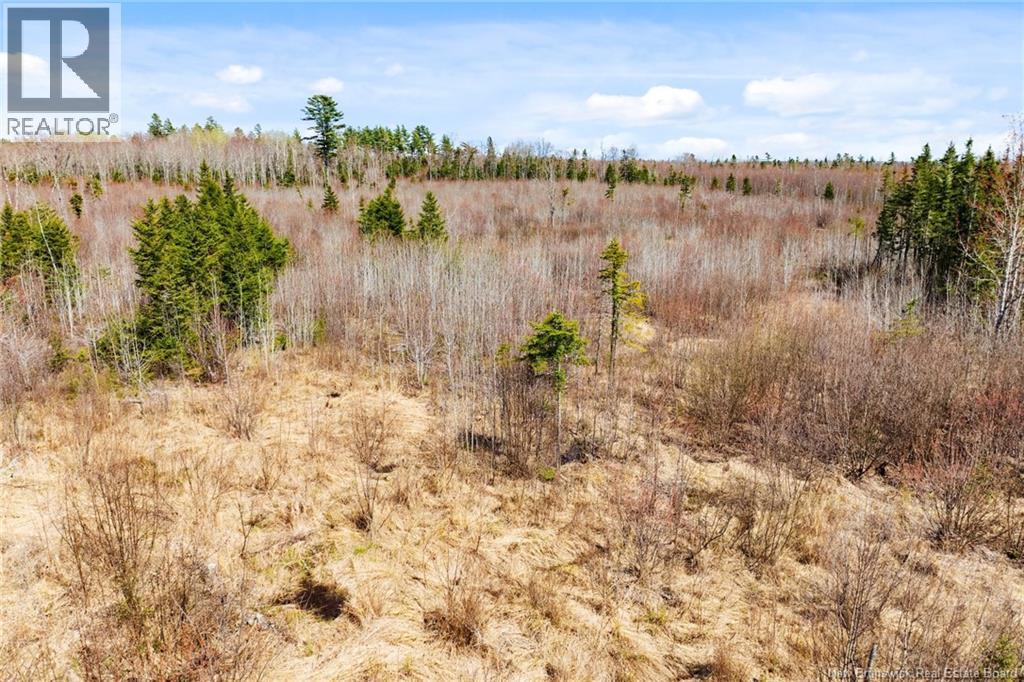 20 Union Cross Road, Youngs Cove, New Brunswick E4C 2J6 - Photo 16 - NB139381