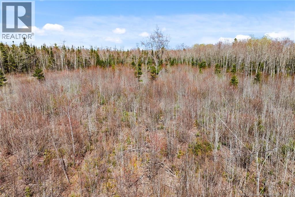 20 Union Cross Road, Youngs Cove, New Brunswick E4C 2J6 - Photo 17 - NB139381