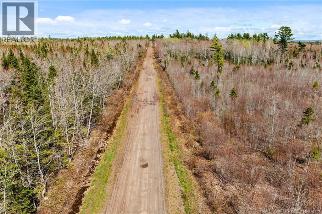20 Union Cross Road, Youngs Cove, New Brunswick E4C 2J6 - Photo 18 - NB139381