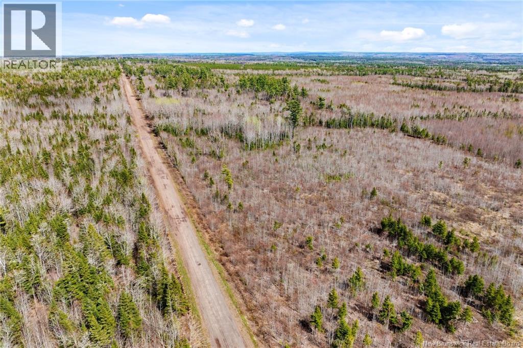 20 Union Cross Road, Youngs Cove, New Brunswick E4C 2J6 - Photo 19 - NB139381