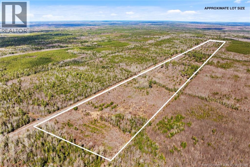 20 Union Cross Road, Youngs Cove, New Brunswick E4C 2J6 - Photo 3 - NB139381
