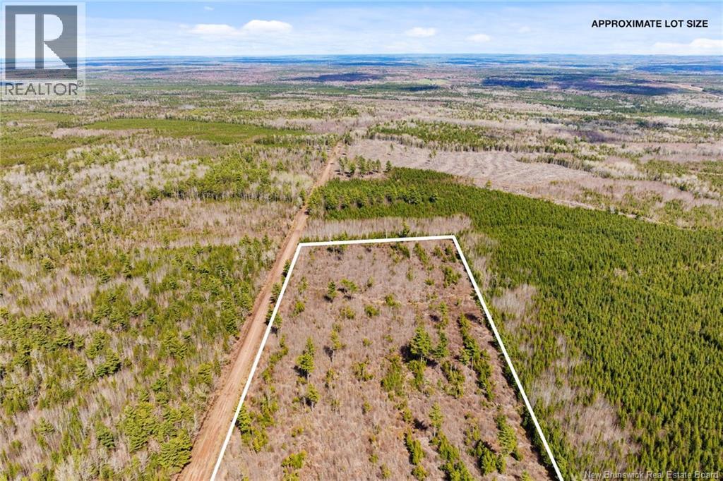 20 Union Cross Road, Youngs Cove, New Brunswick E4C 2J6 - Photo 5 - NB139381