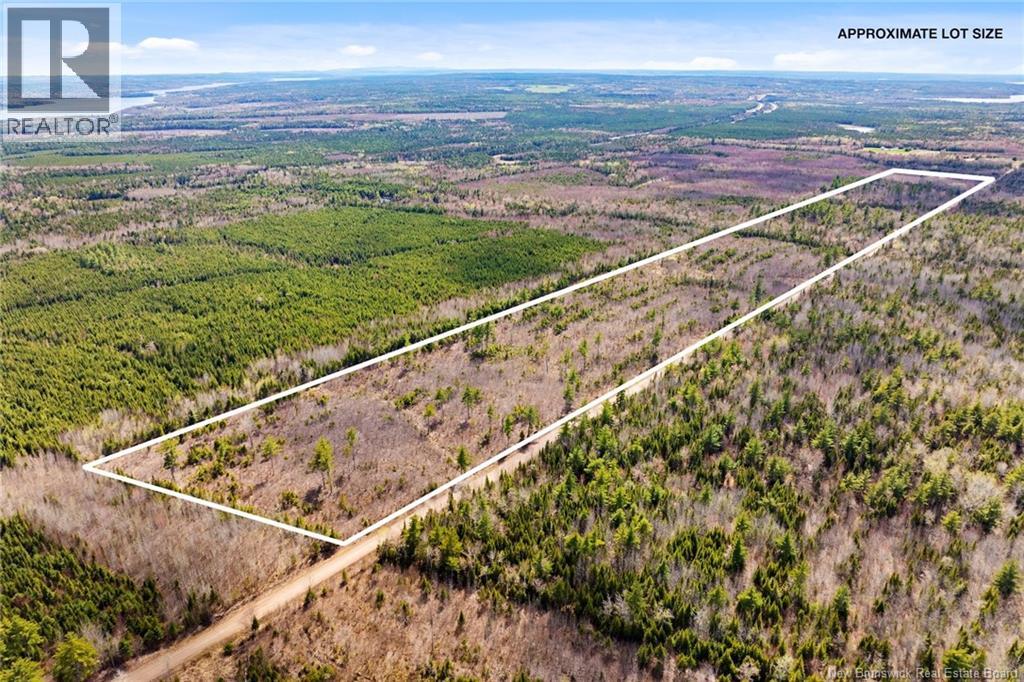 20 Union Cross Road, Youngs Cove, New Brunswick E4C 2J6 - Photo 8 - NB139381