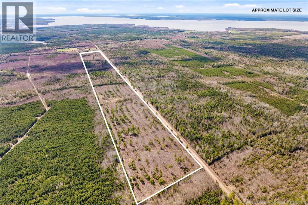 20 Union Cross Road, Youngs Cove, New Brunswick E4C 2J6 - Photo 9 - NB139381