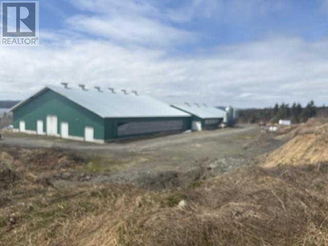 921 Smith Sound Road, Harcourt, Newfoundland & Labrador  A0C 1E0 - Photo 6 - 1293350