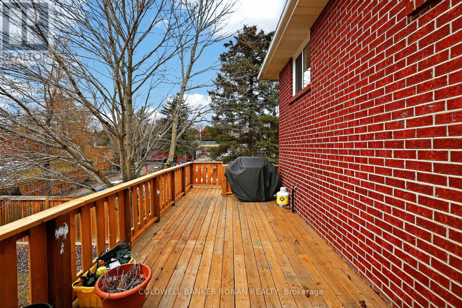10 Catherine Street, Adjala-Tosorontio, Ontario  L0G 1L0 - Photo 17 - N12930922