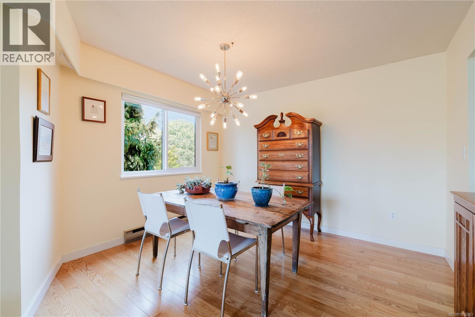 403 1012 Collinson St, Victoria, British Columbia  V8V 3C1 - Photo 5 - 1036293