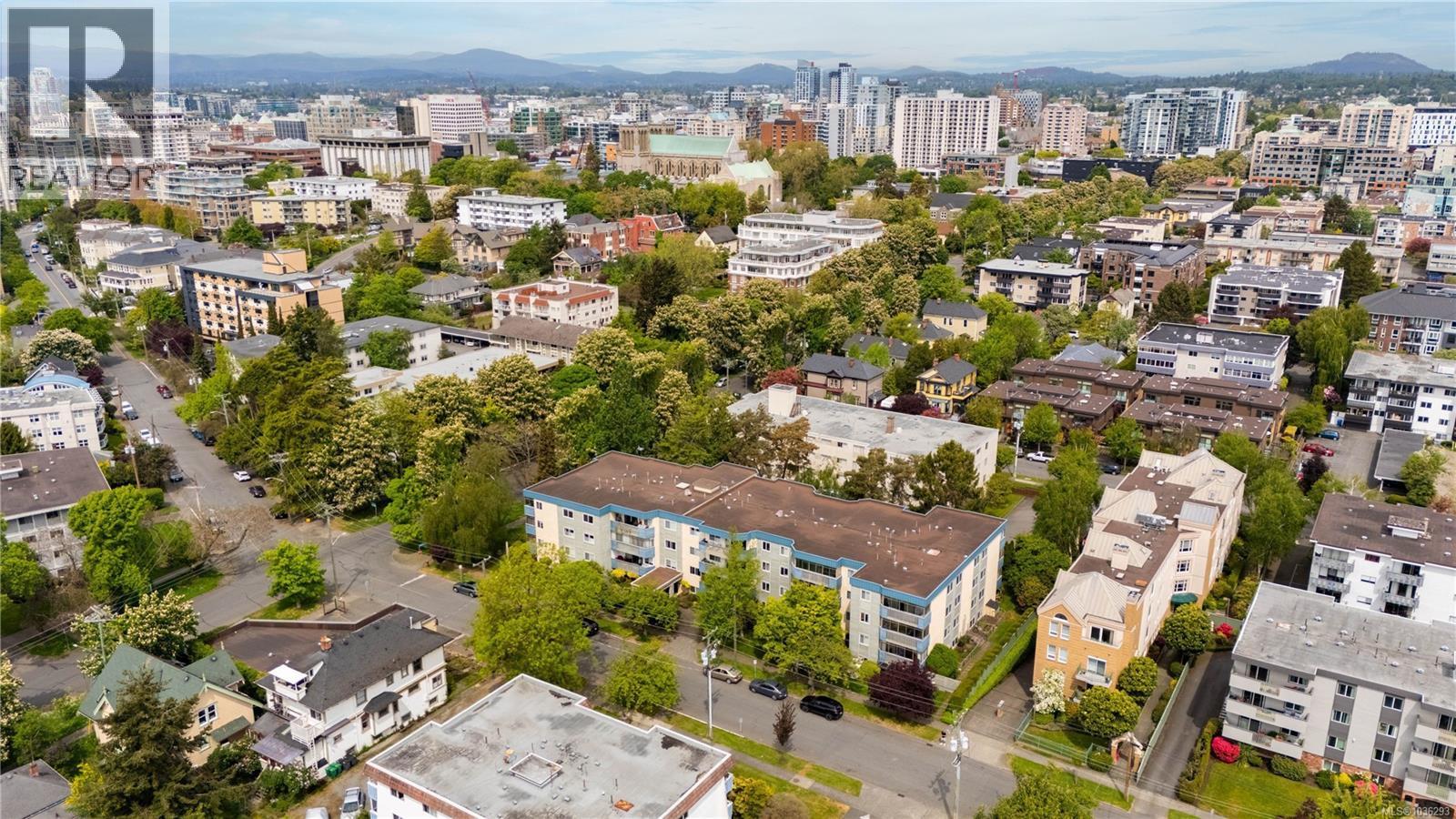 403 1012 Collinson St, Victoria, British Columbia  V8V 3C1 - Photo 21 - 1036293