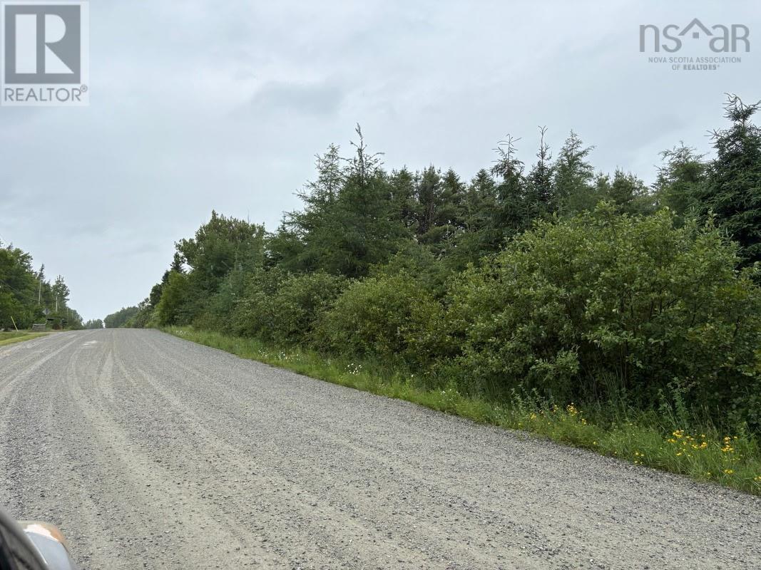 Upper Southwest Mabou Road, Glencoe Station, Nova Scotia  B0E 2W0 - Photo 4 - 202600891