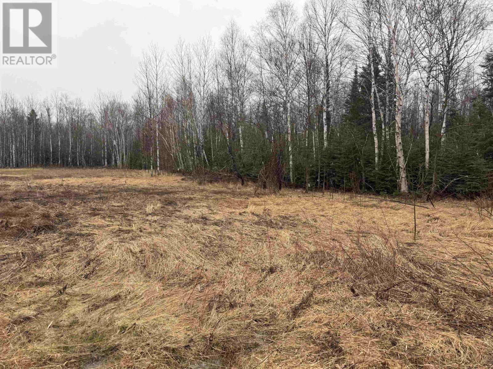 0 Road 5 South, Shuniah, Ontario  P0T 2M0 - Photo 6 - TB2601008