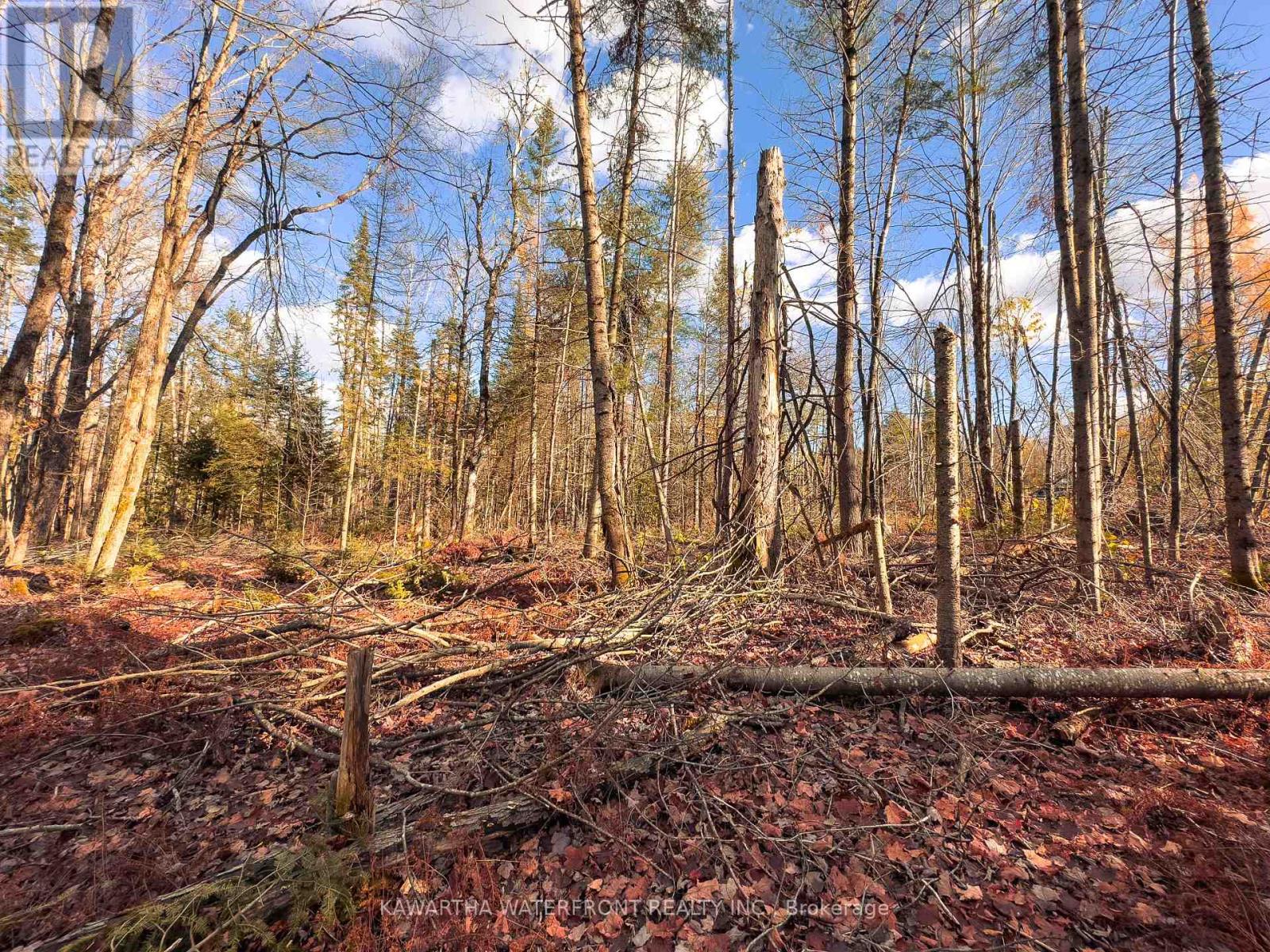 0 Weismuller Lane, Bracebridge, Ontario  P1P 1R3 - Photo 10 - X13121358
