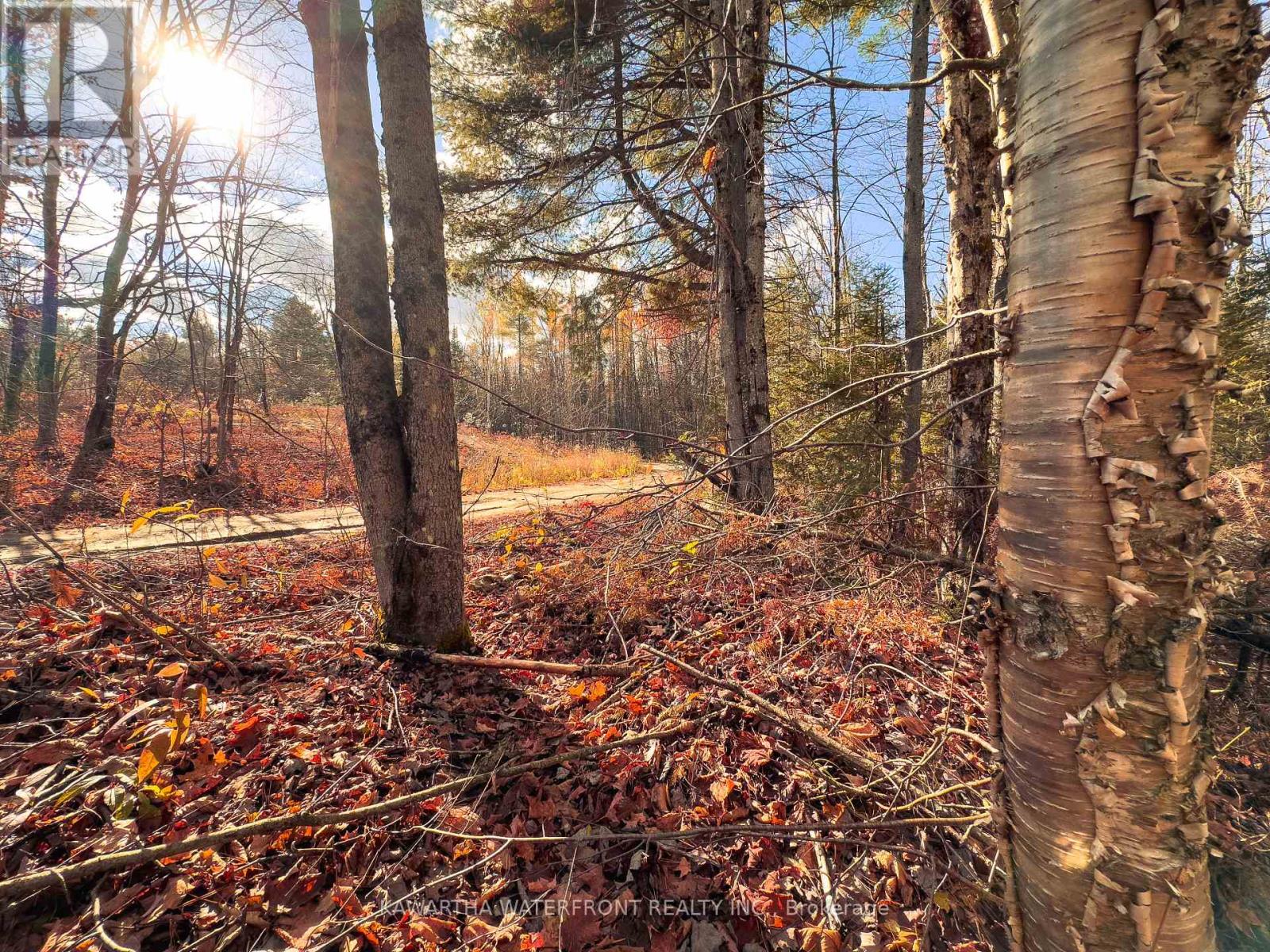 0 Weismuller Lane, Bracebridge, Ontario  P1P 1R3 - Photo 11 - X13121358