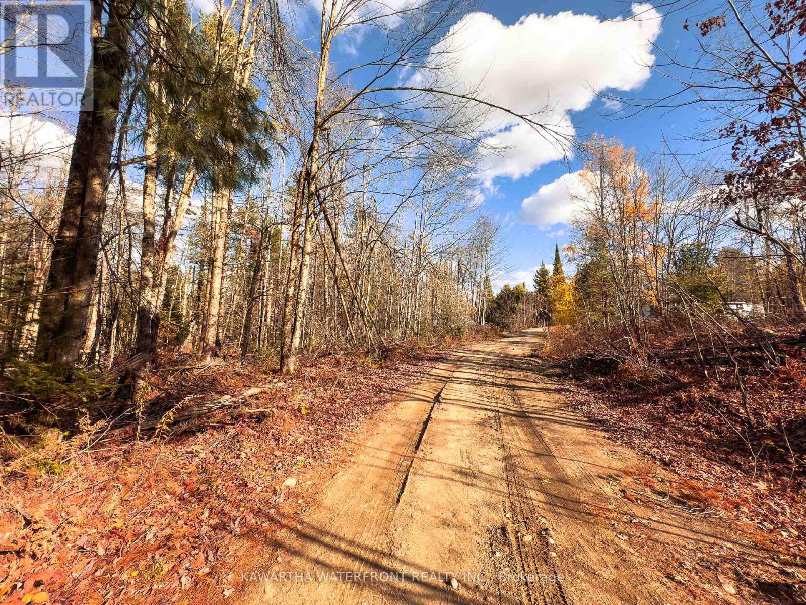 0 Weismuller Lane, Bracebridge, Ontario  P1P 1R3 - Photo 13 - X13121358