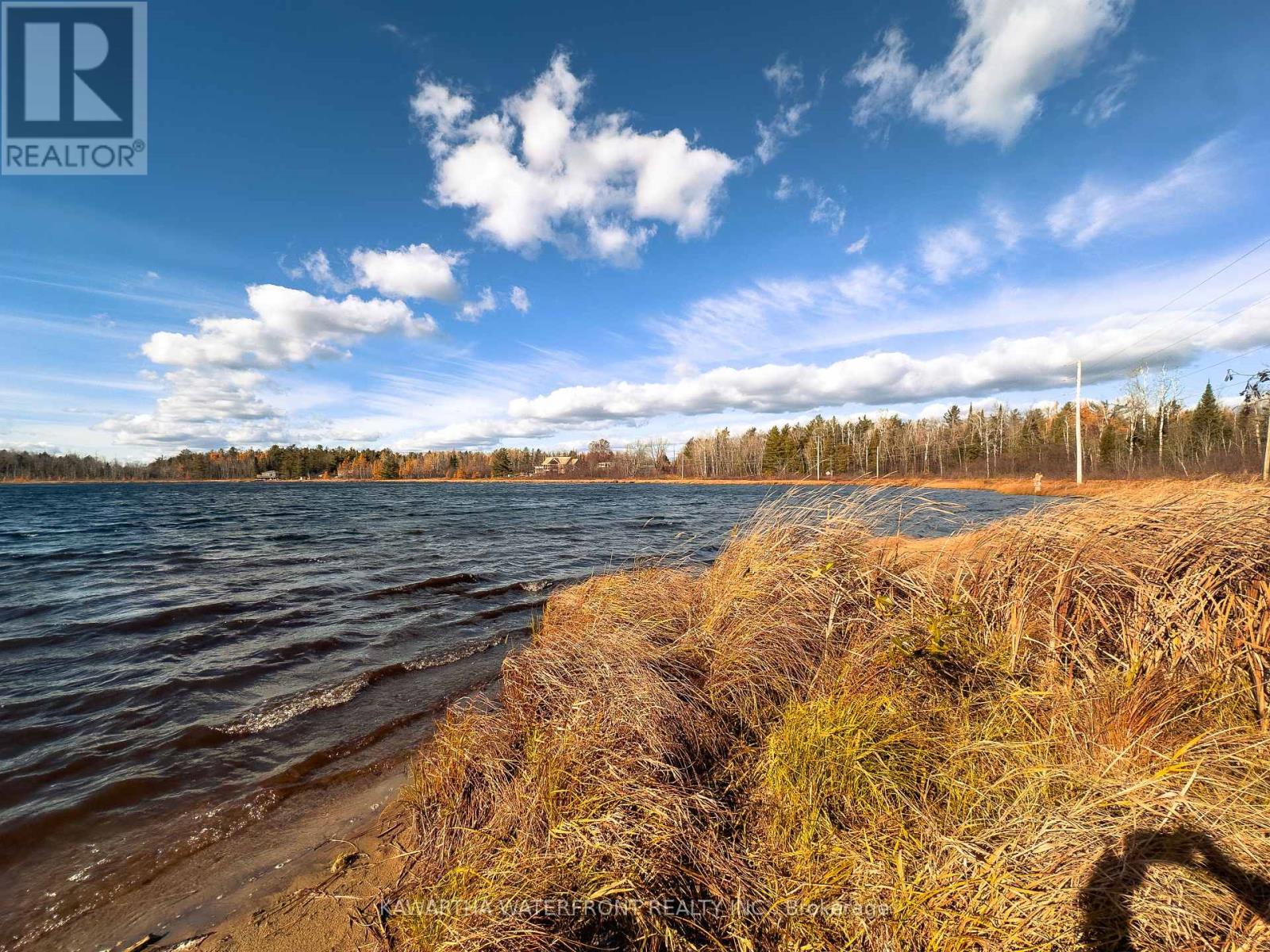 0 Weismuller Lane, Bracebridge, Ontario  P1P 1R3 - Photo 18 - X13121358