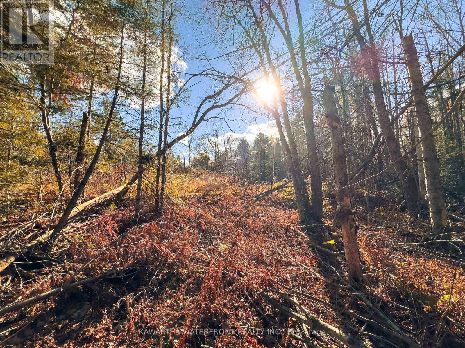 0 Weismuller Lane, Bracebridge, Ontario  P1P 1R3 - Photo 5 - X13121358